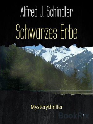 cover image of Schwarzes Erbe